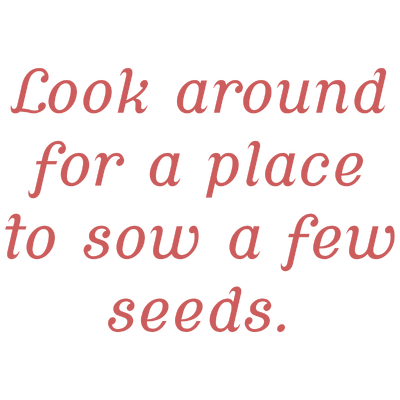 look around for a place to sow few seeds quote SVG PNG design