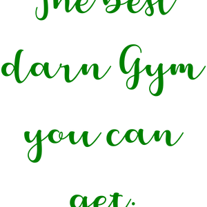 the best darn gym you can get quote SVG PNG design with bold lettering