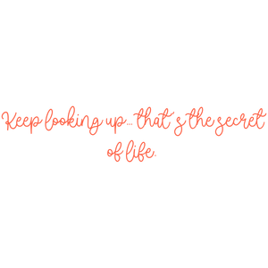 keep looking up that's the secret of life quote SVG PNG design with bold lettering, an uplifting message