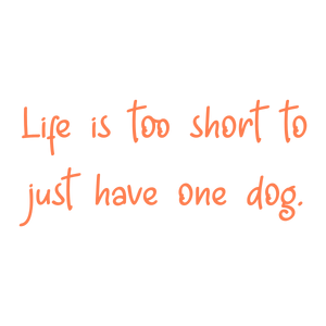 life is too short to just have one dog46 quote SVG PNG design with hand-drawn style