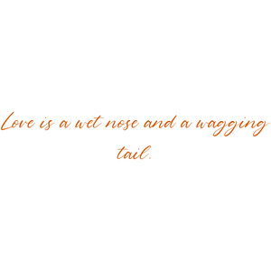 love is a wet nose and wagging tail103 quote SVG PNG design