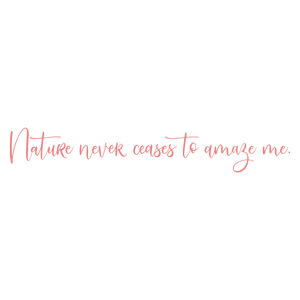 nature never ceases to amaze me579 quote SVG PNG design