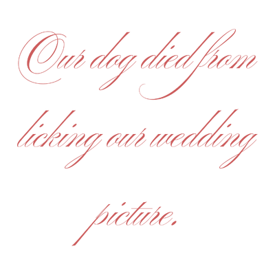 our dog died from licking wedding picture quote SVG PNG design
