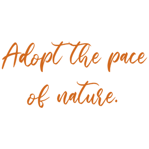 adopt the pace of nature quote SVG PNG design with hand-drawn style
