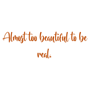 almost too beautiful to be real quote SVG PNG design with bold lettering, an uplifting message