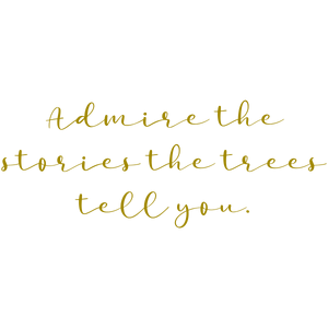 admire the stories trees tell you quote SVG PNG design