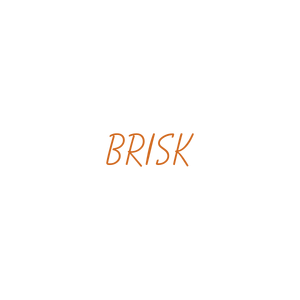 brisk quote SVG PNG design