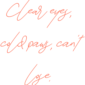 clear eyes cold paws can't lose quote SVG PNG design with hand-drawn style, bold lettering, an uplifting message