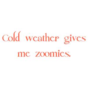 cold weather gives me zoomies quote SVG PNG design