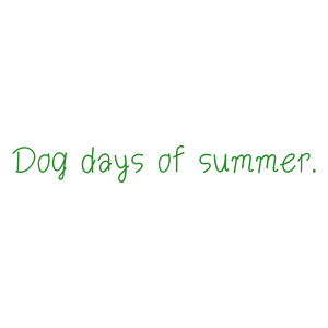dog days of summer quote SVG PNG design