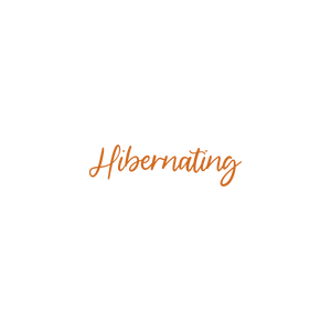 hibernating quote SVG PNG design
