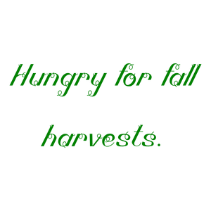 hungry for fall harvests quote SVG PNG design