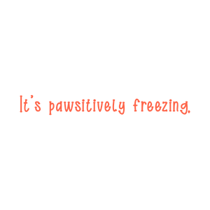 it's pawsitively freezing quote SVG PNG design