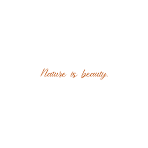nature is beauty quote SVG PNG design