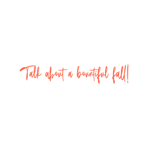talk about a bountiful fall quote SVG PNG design with bold lettering