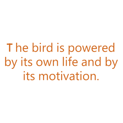 the bird is powered by its own life and motivation quote SVG PNG design with bold lettering