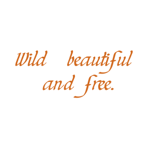 wild beautiful and free quote SVG PNG design with bold lettering, an uplifting message