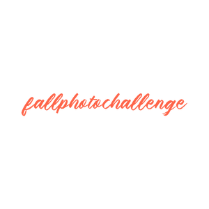 fallphotochallenge quote SVG PNG design with bold lettering