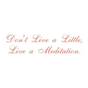 don't live a little meditation quote SVG PNG design