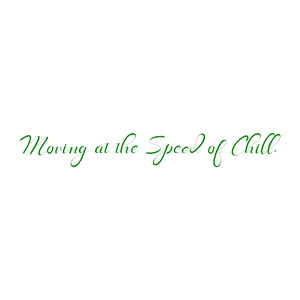 moving at the speed of chill quote SVG PNG design