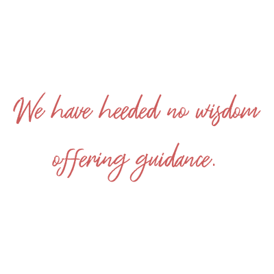 we have heeded no wisdom offering guidance quote SVG PNG design