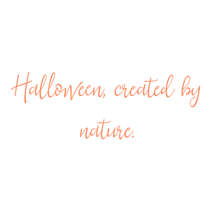 halloween created by nature quote SVG PNG design with bold lettering