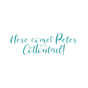 here comes peter cottontail quote SVG PNG design