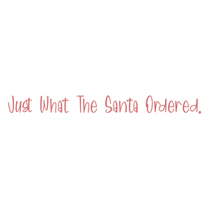 just what the santa ordered quote SVG PNG design