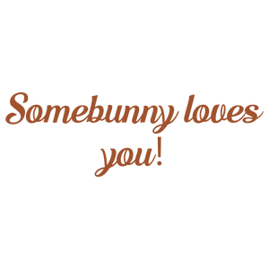 somebunny loves you quote SVG PNG design
