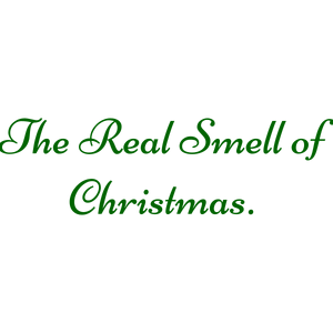 the real smell of christmas quote SVG PNG design