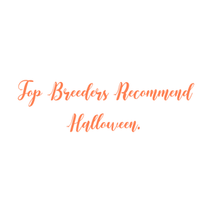 top breeders recommend halloween quote SVG PNG design