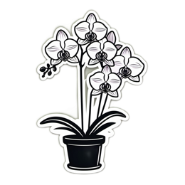 orchid flower SVG PNG design with clean design elements, black and white floral elements