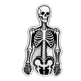 skeleton anatomy SVG PNG design with clean design elements
