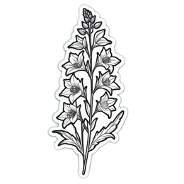 flower illustration SVG PNG design with black and white floral elements