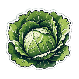 vegetable cabbage SVG PNG design with clean design elements