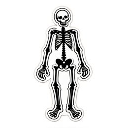 decoration skeleton SVG PNG design with clean design elements