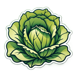cabbage vegetable SVG PNG design with clean design elements