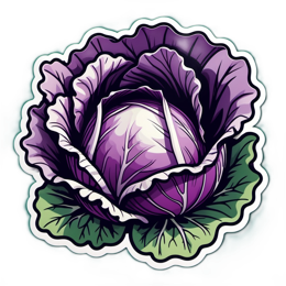 cabbage SVG PNG design with clean design elements